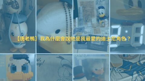 85後唐老鴨情懷：從童年回憶到瘋狂收藏的自我認同之旅